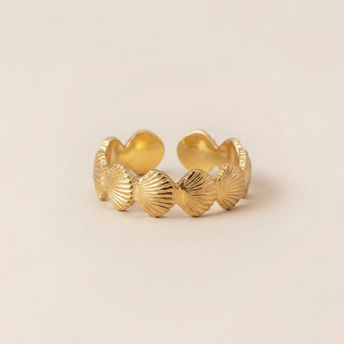 Schelp-Ring